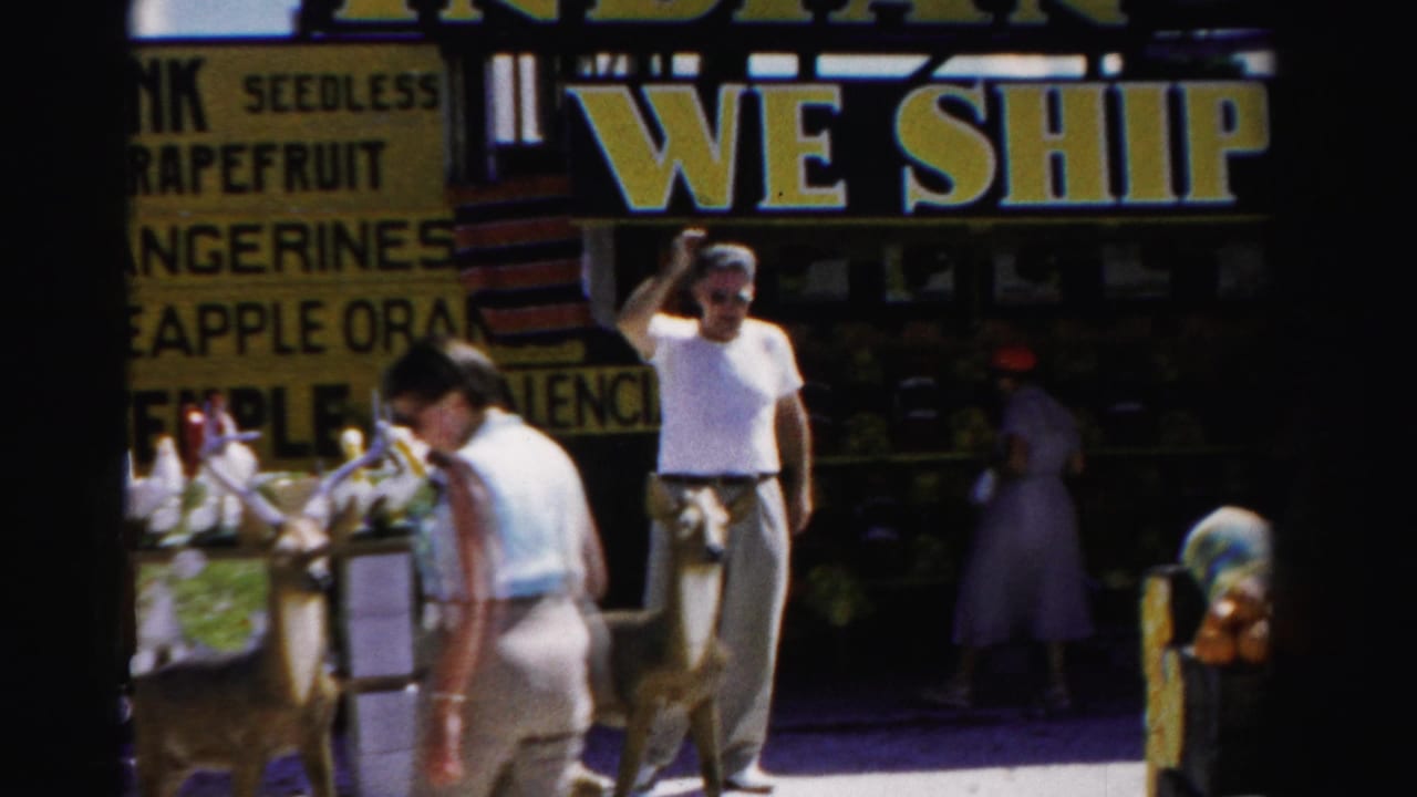 1955 Dade County fruit stand scene with a man in a white shirt, a woman walking past, a young deer, produce signs, and WE SHIP lettering.
