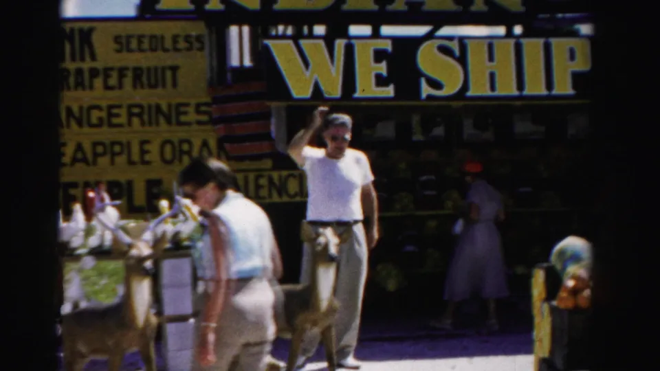 1955 Dade County fruit stand scene with a man in a white shirt, a woman walking past, a young deer, produce signs, and WE SHIP lettering.
