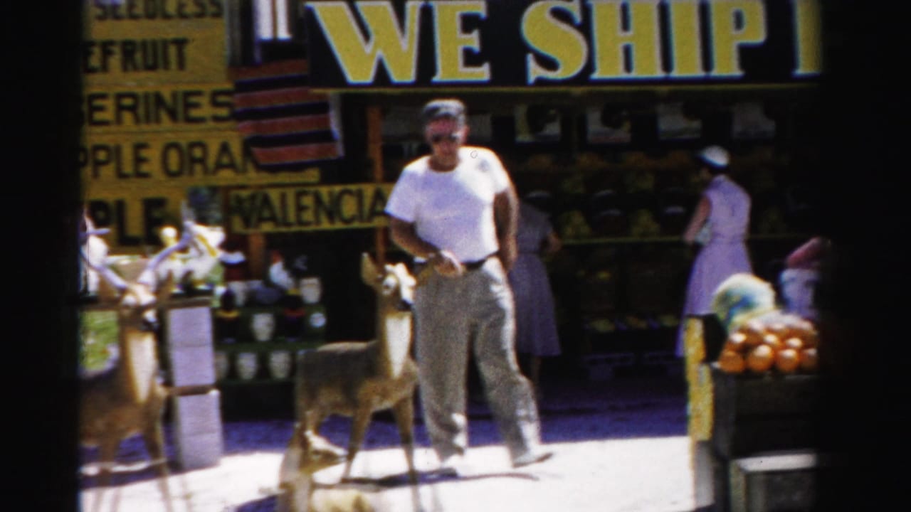 Man stands by a fruit stand counter with a deer in front.
