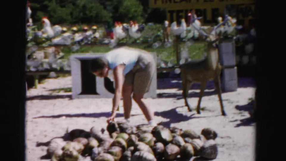 A woman bends toward coconuts on the ground near the fruit stand, with decorative chickens, signage, and the young deer visible nearby.