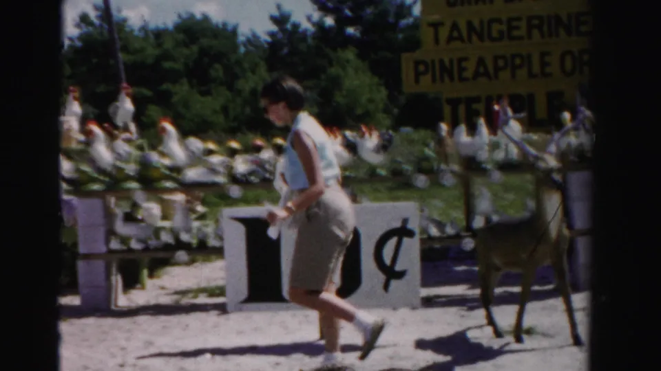 The woman walks past a roadside fruit stand display in Dade County, with coconuts, painted fruit signs, decorative chickens, and a young deer at right.