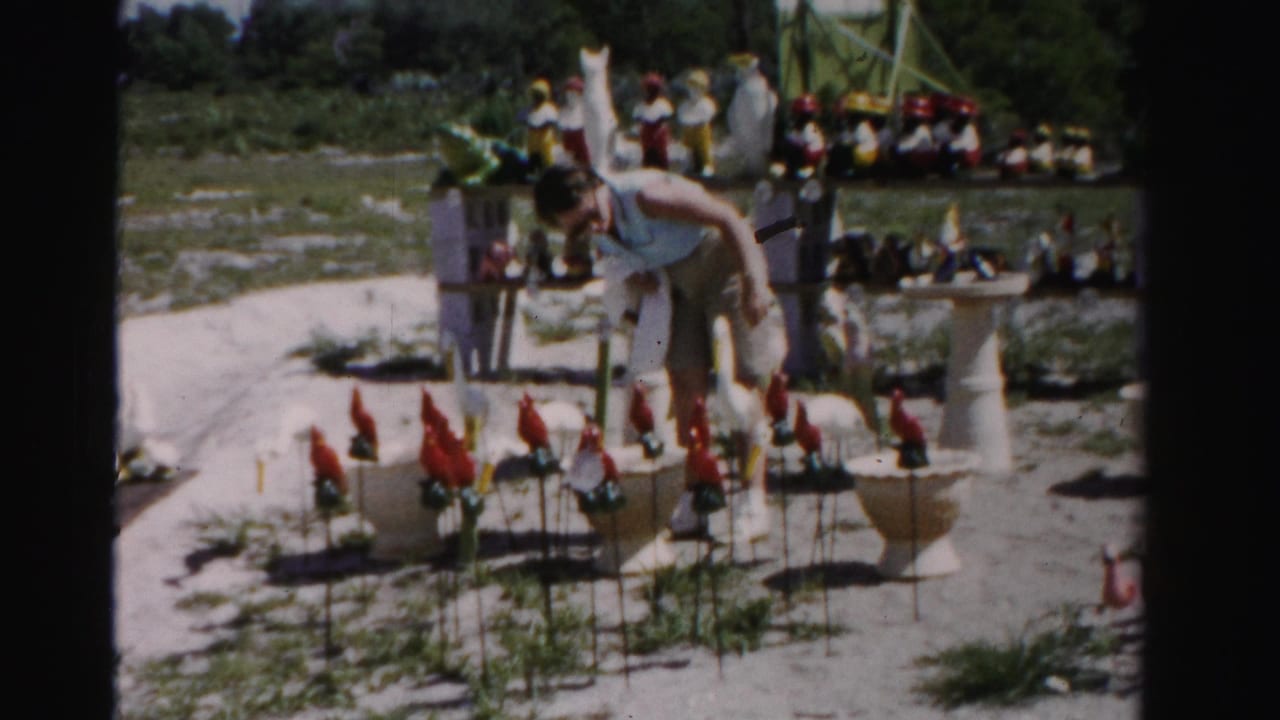In Dade County, Florida, a woman browses a sandy roadside display of pink flamingo and red bird lawn ornaments in 1955 home-movie footage.