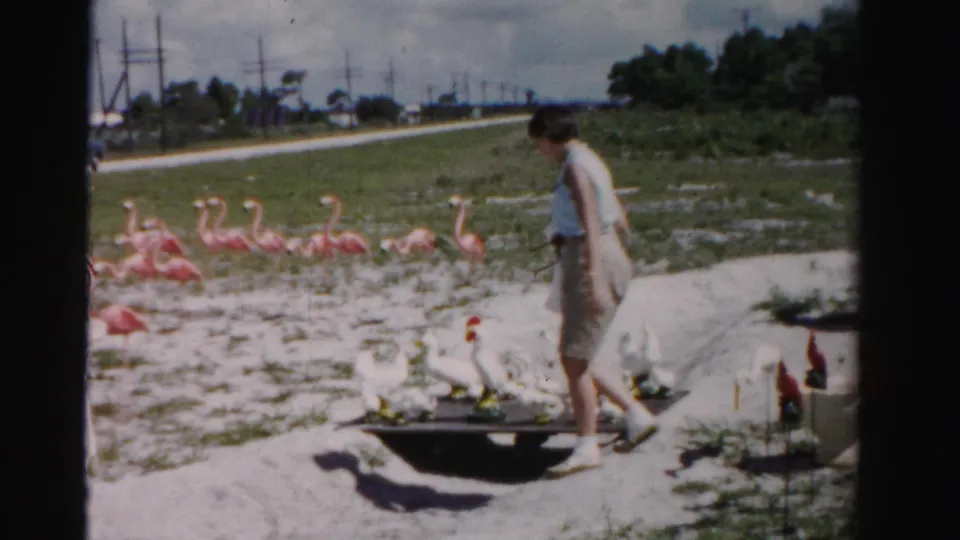 A woman walks beside bird lawn ornaments while a line of pink flamingo figures stands in the open sandy area behind the display.