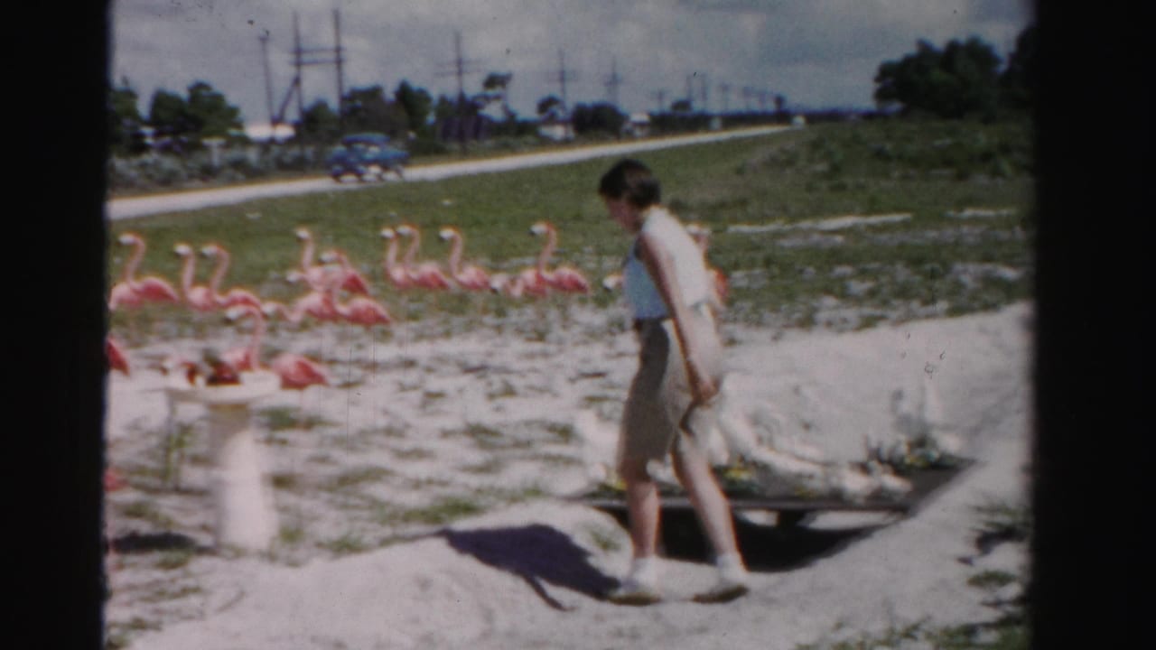 Woman in shorts walks beside rows of pink flamingo decorations near a small white pedestal.