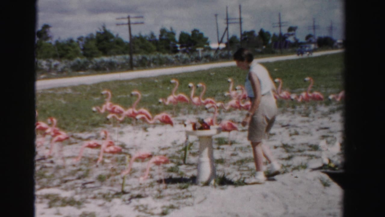 Woman stands near a white pedestal surrounded by rows of pink flamingo lawn ornaments.