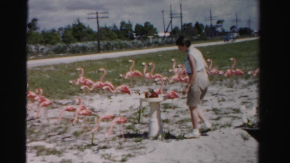 In the Florida outdoor scene, the woman pauses near a white pedestal while rows of pink flamingo decorations extend across the sandy grass.