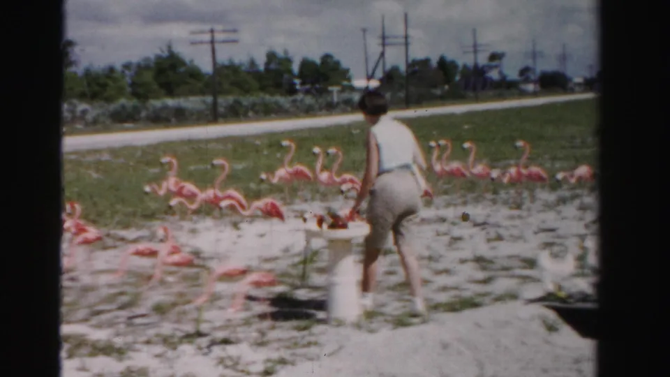A rear view of the woman near the white pedestal shows the rows of pink flamingo decorations, roadside grass, utility poles, and cloudy sky.