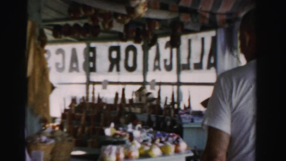 1955 Dade County, Florida 8mm frame showing a man browsing inside a souvenir shop with reversed alligator bag lettering in the window.