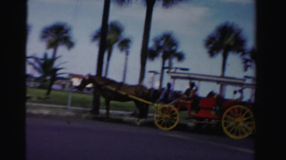 1955 Dade County, Florida frame showing a horse-drawn carriage moving past palm trees, street pavement, and low roadside buildings.