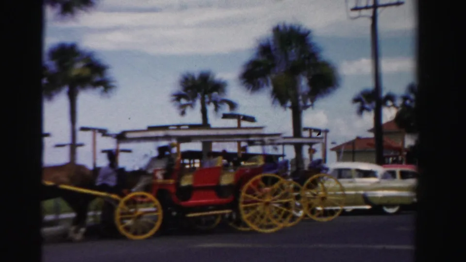 1955 Dade County, Florida frame of a horse-drawn carriage beside palm trees, parked mid-century cars, and a low roadside building.
