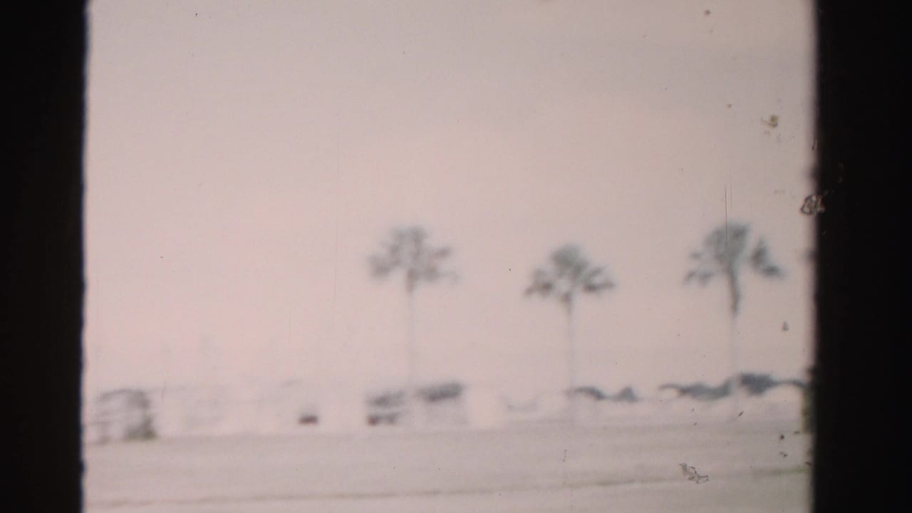 Blurred roadside view with palm trees, a low fence or rail, and distant vehicles.