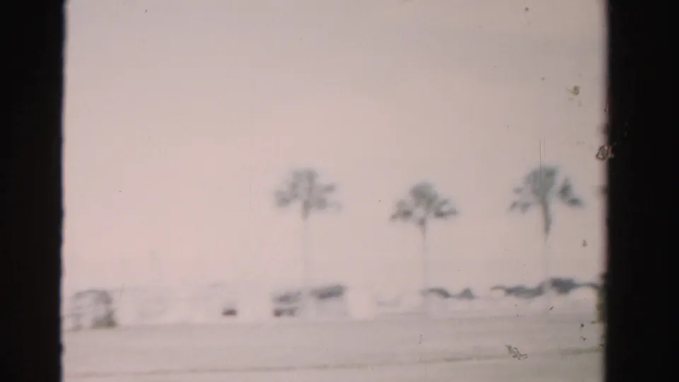 1955 Dade County 8mm frame showing a soft, fast-moving roadside view with palm trees, low fencing, and indistinct vehicles in the distance.