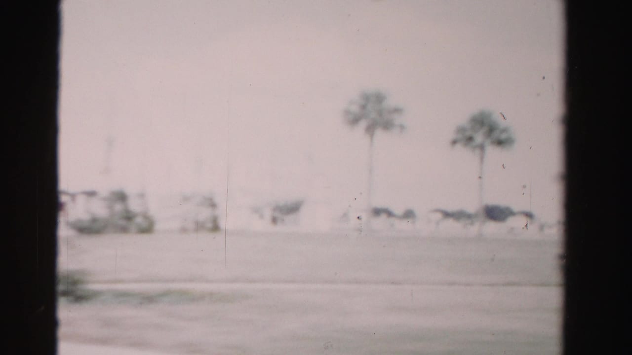 Soft 1955 Florida roadside frame with tall palms, indistinct roadside structures, and dark vehicle shapes across an open strip of land.