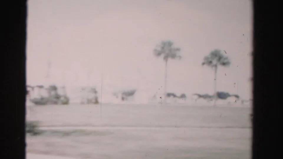 Soft 1955 Florida roadside frame with tall palms, indistinct roadside structures, and dark vehicle shapes across an open strip of land.