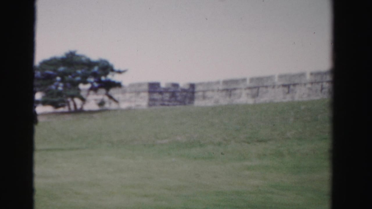 1955 Dade County 8mm frame showing grass, a low historic wall, and wind-shaped trees within visible film-frame edges.