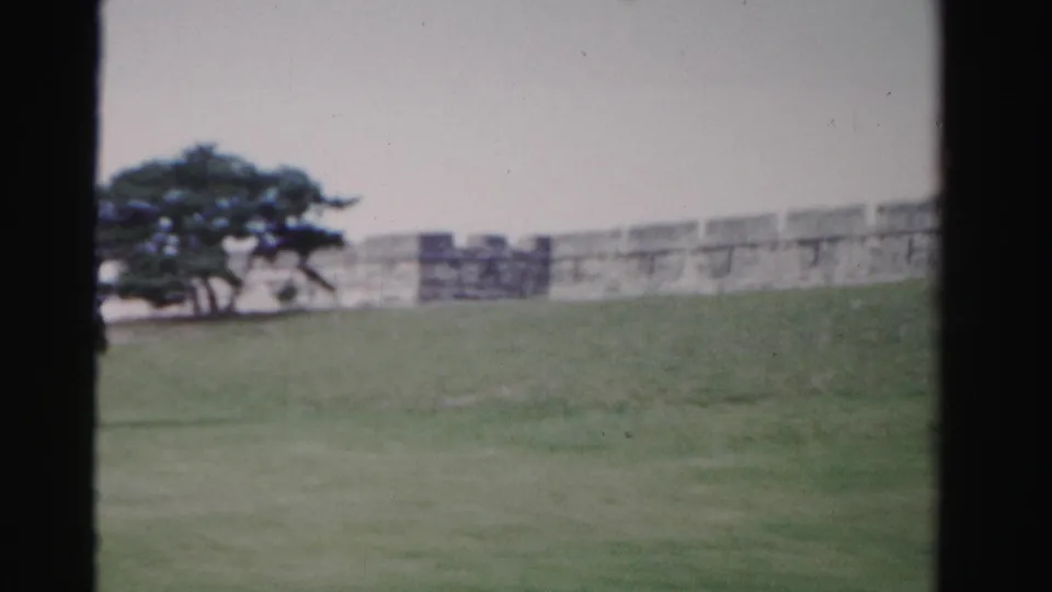 1955 Dade County 8mm frame showing grass, a low historic wall, and wind-shaped trees within visible film-frame edges.