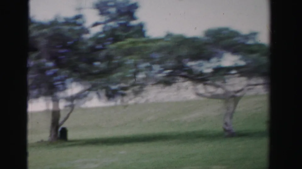 1955 8mm frame from Dade County showing blurred wind-shaped trees, open grass, and a low masonry wall in the background.