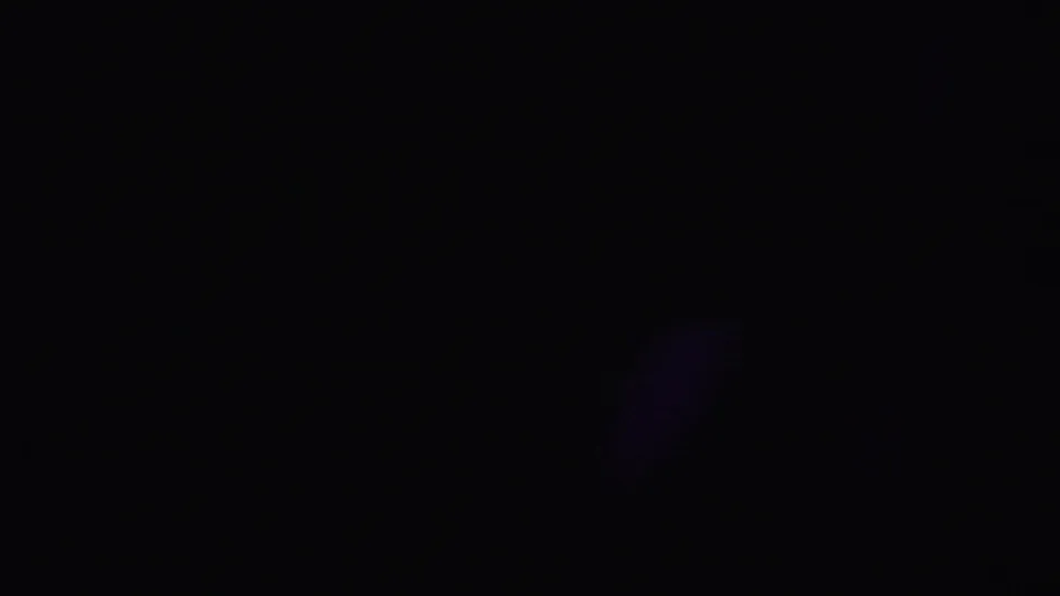 End frame from the 1955 8mm clip, largely obscured by dark exposure or film edge with minimal landscape detail visible.