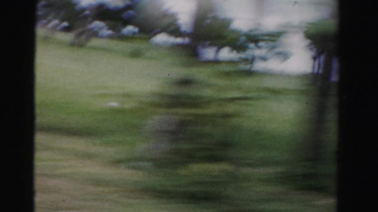 Blurred grassy roadside with palms and pale sky seen from a moving vehicle.