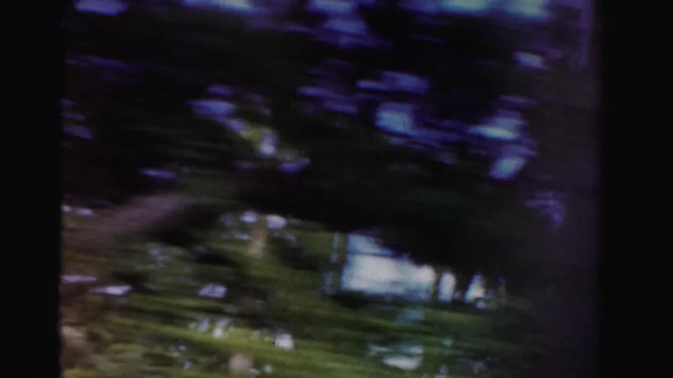 1955 Dade County roadside frame with dark trees, green grass, and heavy vehicle-motion blur.