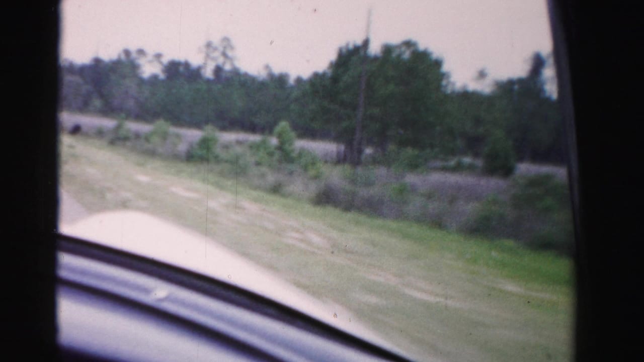 1955 Dade County home-movie frame seen through a moving car window, with grassy roadside, brush, trees, and the car hood edge.