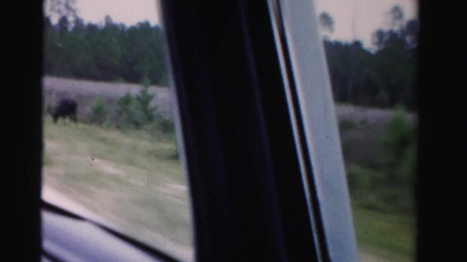 Soft 8mm frame from a moving car, looking past the window frame toward a dirt roadside, grass, brush, and distant trees.