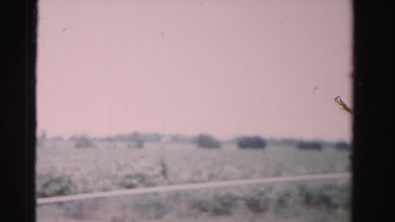 1955 Dade County, Florida train-window view with open fields, low vegetation, distant trees, and dark film or window borders.