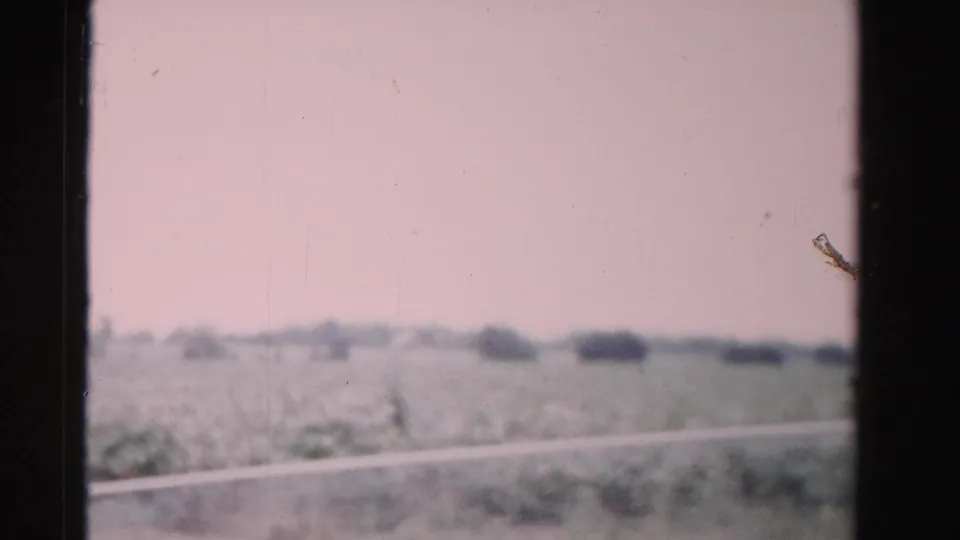 1955 Dade County, Florida train-window view with open fields, low vegetation, distant trees, and dark film or window borders.