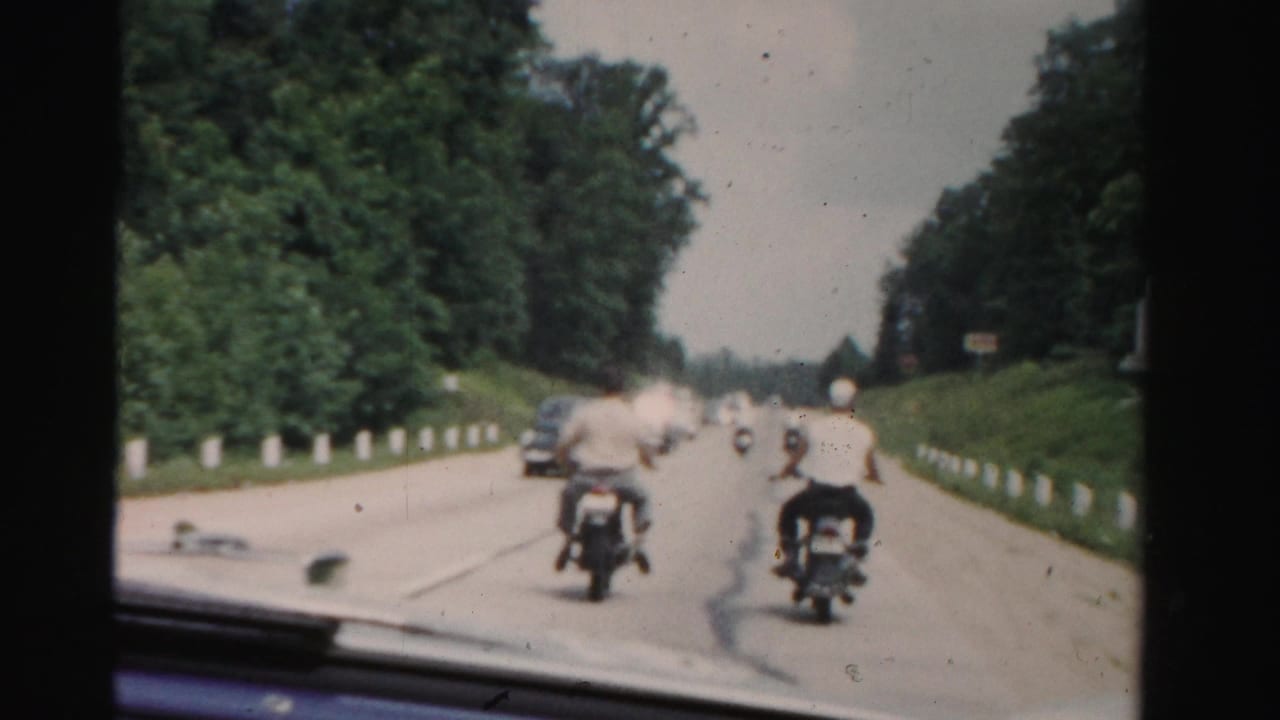 Two motorcyclists ride ahead on a tree-lined road as cars approach in the opposite lane.