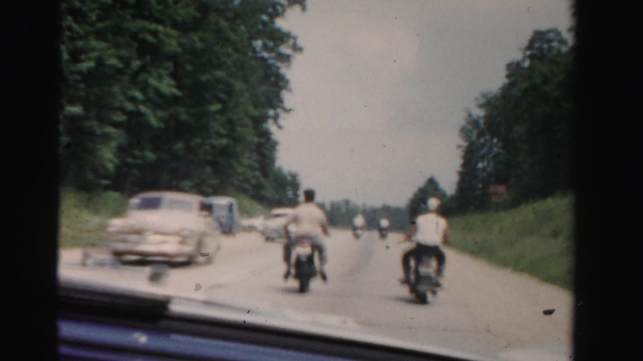 Two motorcycle riders travel ahead on a tree-lined road with cars nearby.