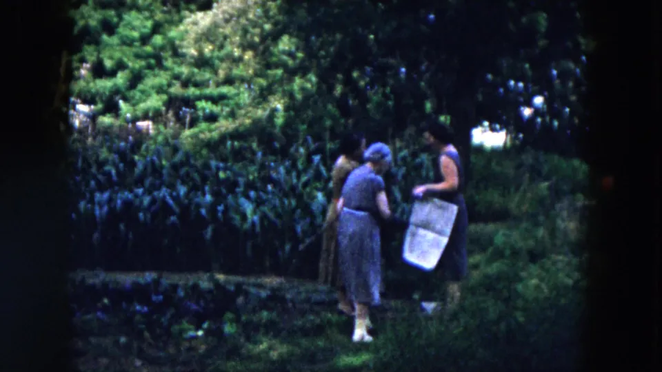 The garden scene shows women in mid-century dress near dense planting, with a light basket visible as they continue their conversation.