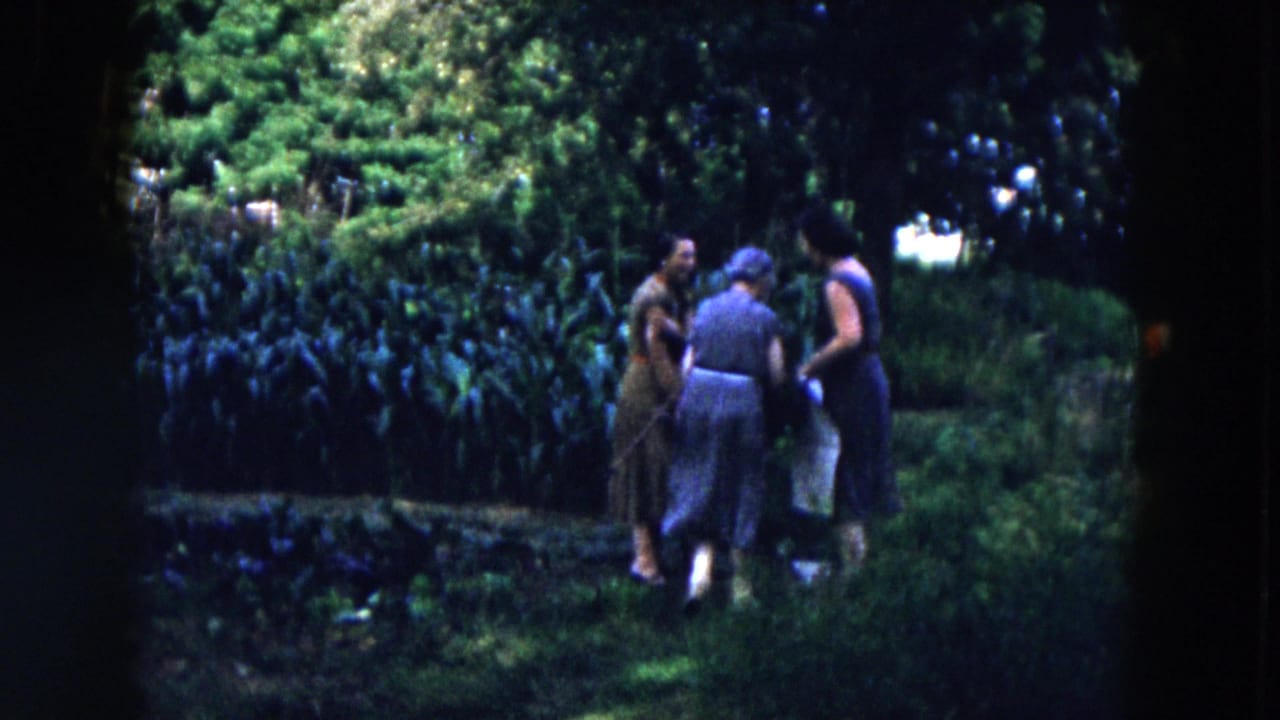 Three adult women in 1955 Hicksville home-movie footage gather among dense garden greenery and low planted rows.