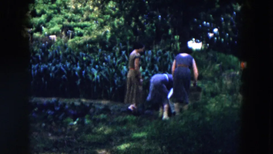 In the Hicksville garden scene, one woman bends toward the plants while two others stand nearby in dresses.