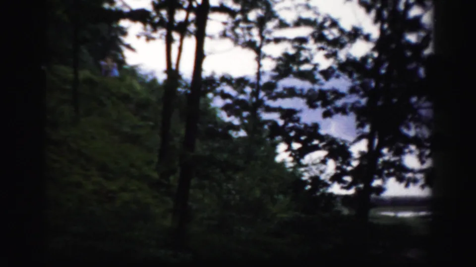 A wooded slope and tree silhouettes frame bright lake water in a brief 1956 Albany-area scenic cutaway.