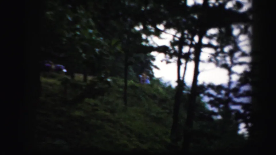 Handheld 8mm view of a wooded Albany-area hillside with tree trunks, leafy ground cover, and bright light beyond the trees.