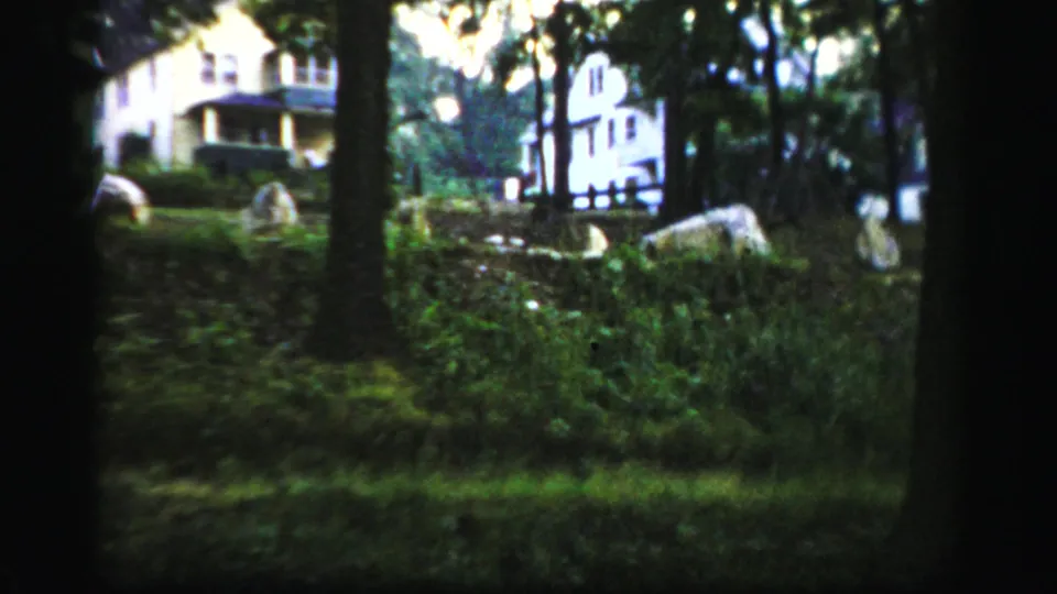 Albany-area 1950s home-movie frame showing trees, grass, pale rocks or markers, and light-colored residential houses in the background.