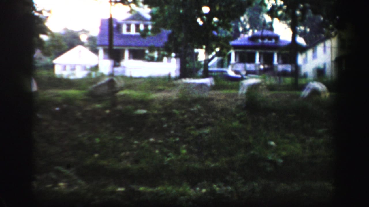Detached houses and parked cars seen across a grassy, tree-shaded yard.