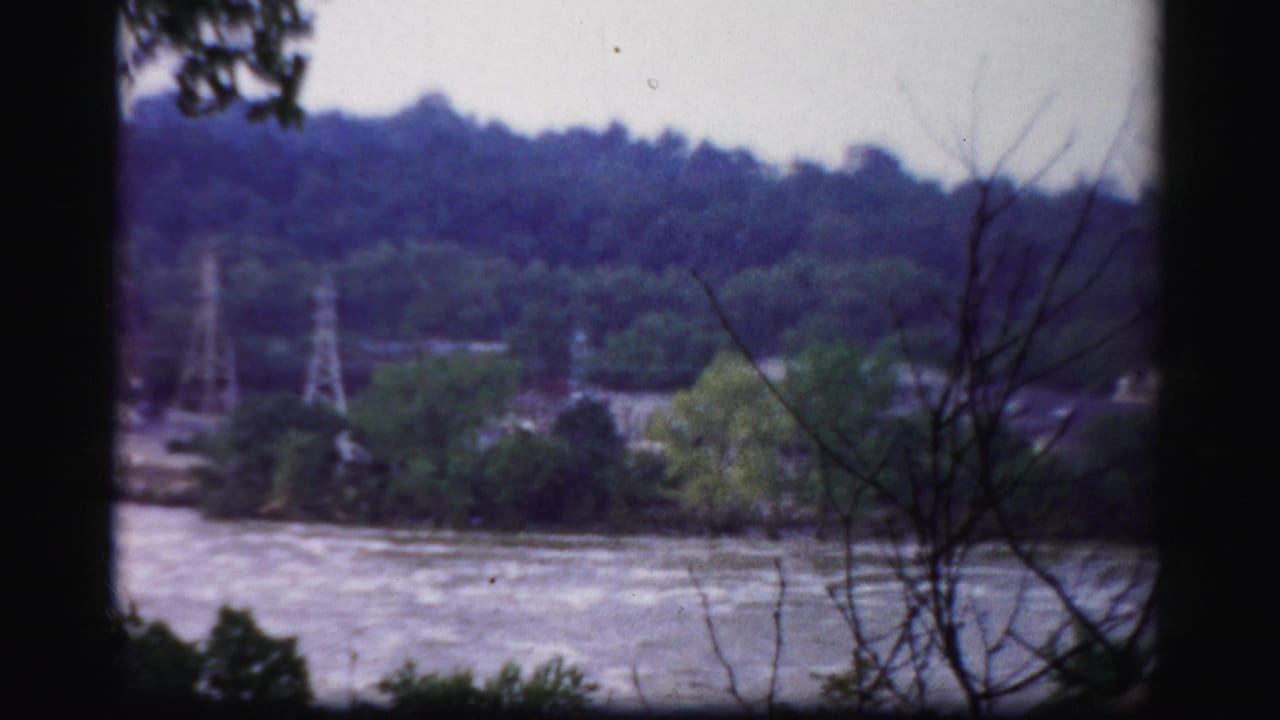 River and far wooded shoreline framed by a dark tree trunk and bare branches.