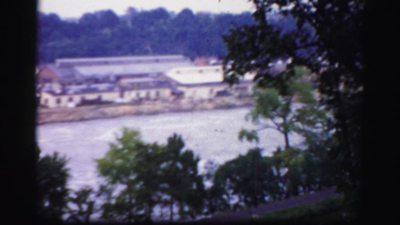 River view through trees with distant industrial buildings on the far bank.