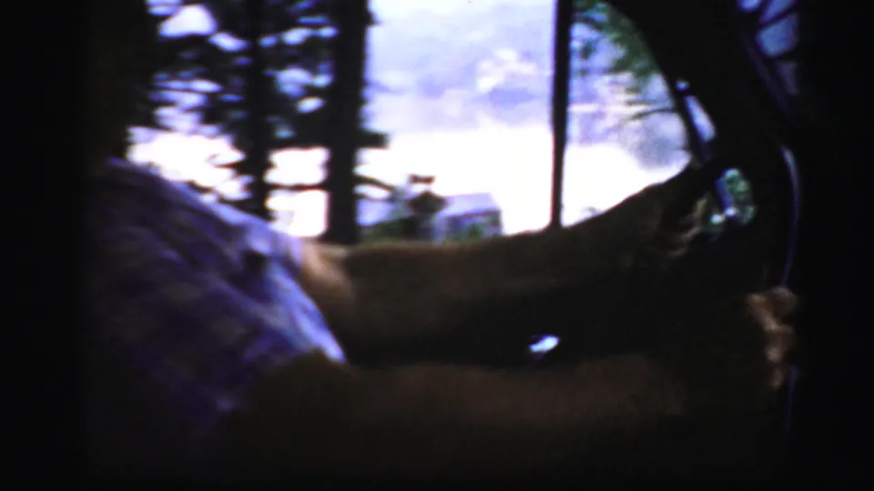 The car interior darkens as the driver's arms and steering wheel are seen against bright outdoor trees in the Albany footage.