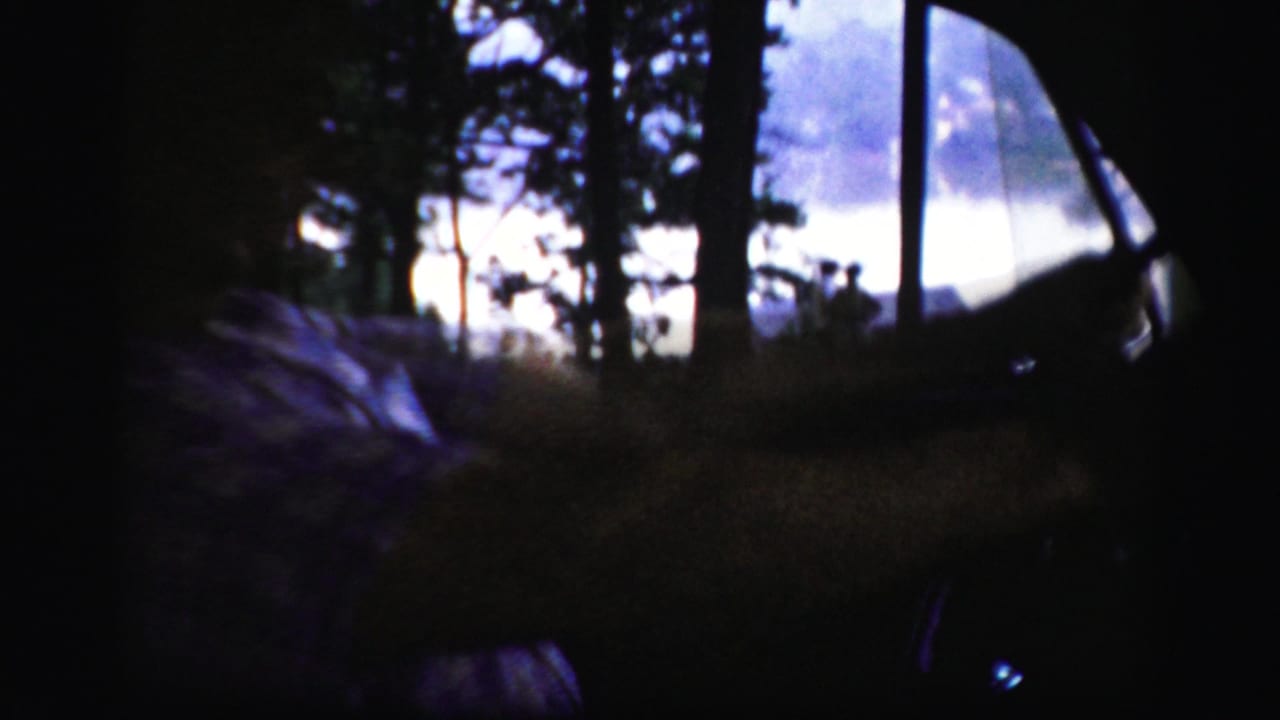 Dark car interior with a man driving past trees at dusk or in low light.