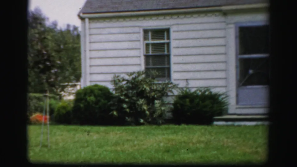 1956 Albany yard view with part of a white house, screen door, window, shrubs, lawn, and a young tree held by stakes.