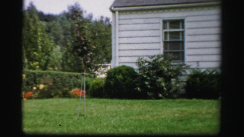 1956 Albany home-movie frame showing a white house side, window, shrubs, hedge, lawn, flowers, and tree support stakes.