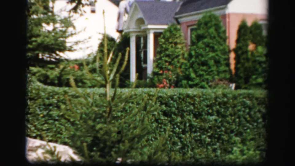 1950s Albany home-movie frame showing a hedge, young staked tree, shrubs, and a brick house with white porch columns.