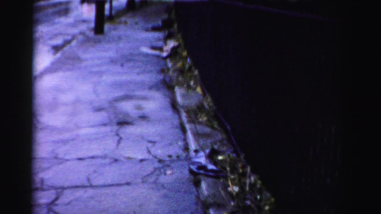 Cracked wet sidewalk or roadside pavement runs beside a dark fence.