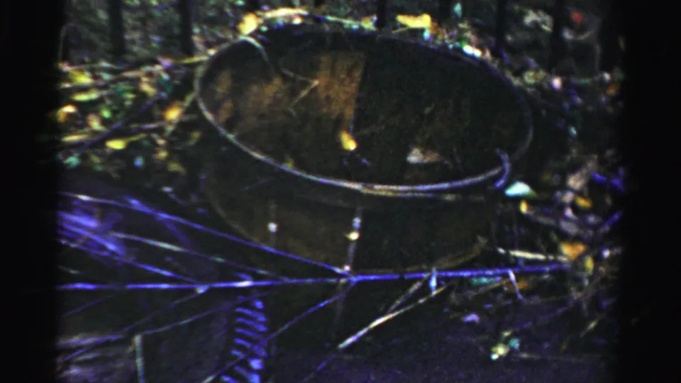 Close view of a damaged wheel or tire among wet leaves, branches, and roadside debris in the Albany-area accident footage.