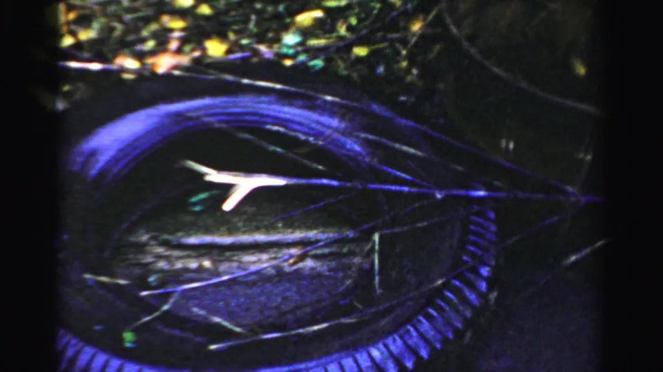 Close detail of twisted tire-like debris with a pale branch across it, filmed as part of the 1950s Albany roadside accident sequence.