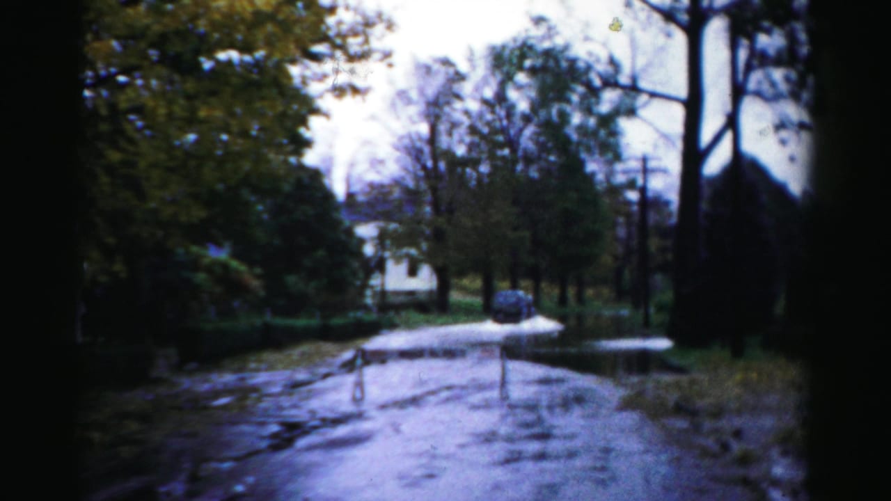 Tree-lined flooded street with a dark car near the right side of the road.