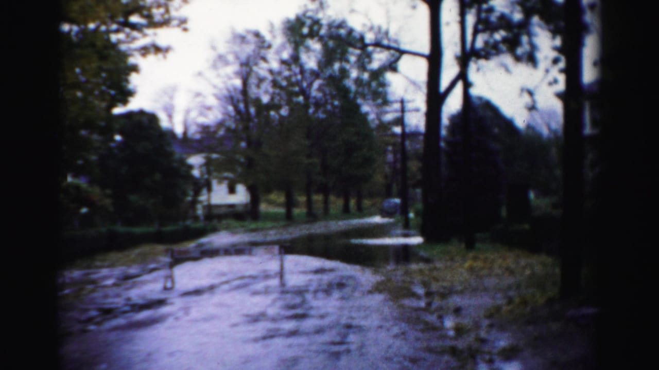 1950s Albany home-movie frame showing a wet tree-lined road with puddles, utility poles, and a distant parked car or roadside object.