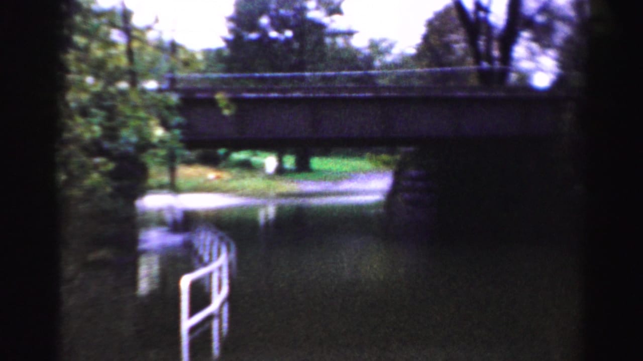 1956 Albany frame of a tree-lined waterway under a low bridge, with a white railing standing partly in the water.